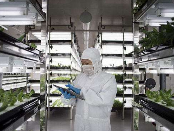 生物组培车间净化系统工程